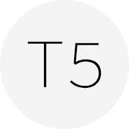 T5