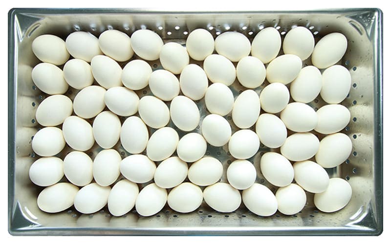 温泉卵 スチコンdxレシピ集 Tanico 業務用厨房機器のタニコー株式会社