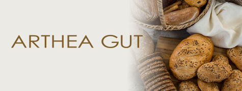 ARTHEA GUT